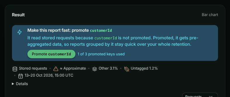 The Result card headed Make this report fast: promote customerId, saying it read stored requests because customerId is not promoted and that, promoted, reports grouped by it stay quick over your whole retention, with a Promote customerId button and 1 of 3 promoted keys used; below it the meta strip reads Stored requests